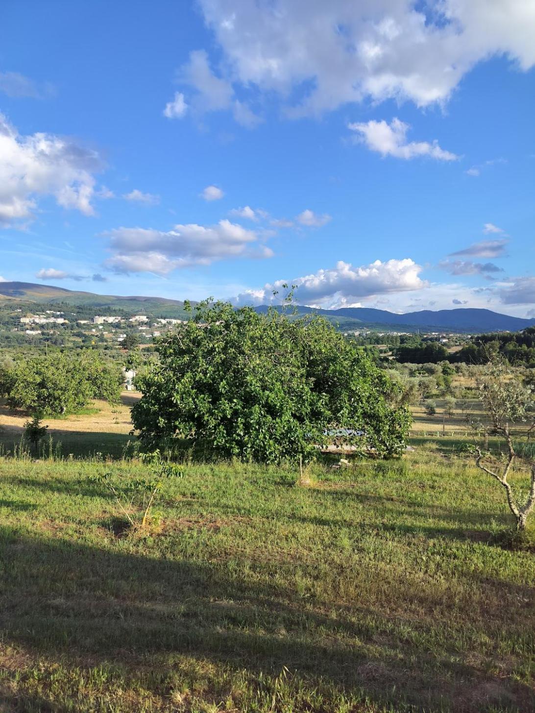 Arpuro Vila Gouveia  Exterior foto